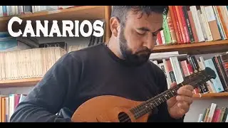 Canarios (Gaspar Sanz) | Mandolin Performance - Transcribed from Baroque Guitar