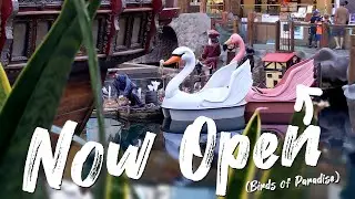 Swan Boats Now Open at WEM (Birds of Paradise) - Best Edmonton Mall