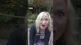 BBC Weather presenter pulled down - Funny News fail video clip
