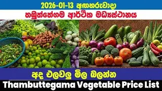 2025.01.13|තඹුත්තේගම එලවලු මිල |Ada elawalu mila Thambuttegama |Thambuttegama  vegetable Price List