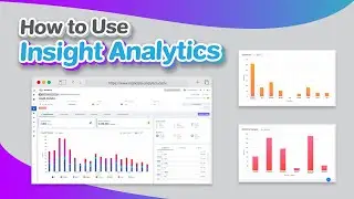 How to Use Insight Analytics l Mandala Analytics