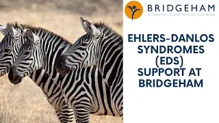 Ehlers-Danlos syndromes (EDS) support at Bridgeham Clinic