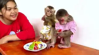 Icy & Bryan the Little Monkey Learn to Share Food #monkey #babyanimal #cute #eating