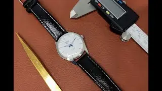 The Project watch, HMT Janata WD Blue hands