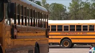 School bus safety: Identifying cause of crashes