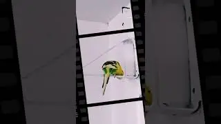 Sprite edit 💫🎬 #short #edit