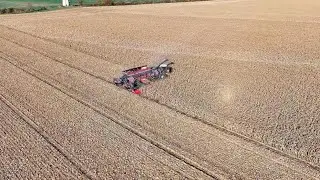 Massive Corn Harvest 2025 in Ohio 🇺🇸 | NEXAT System Tractor & 31-Row Corn Header in Action