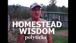 HOMESTEAD WISDOM - PolyTicks