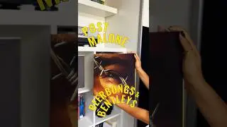 ⭐️ [vinyl] Post Malone - Beerbongs & Bentleys ⭐️