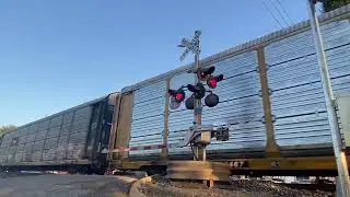 KCS ace solo leads autorack/jntermodal train in TX