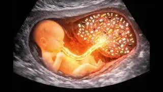 How a Mother&rsquo;s Food Becomes Life Energy for Her Baby&rdquo;#PregnancyJourney#LifeBeforeBirth