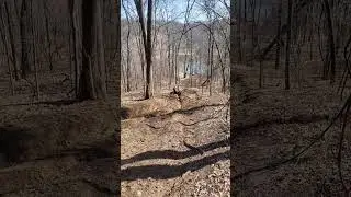 YXZ Hill Climb