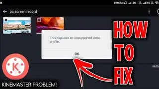 Kinemaster problem⚠️ solution🔑 || File format not support|| #smartcourse4u