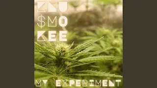 MY EXPERIMENT