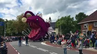2017 Bloemencorso Lichtenvoorde, Kwintet, Dwaallicht