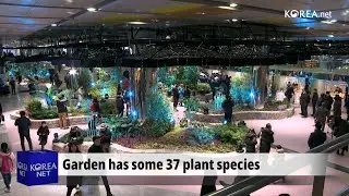 Underground solar-powered garden opened at Seoul subway station