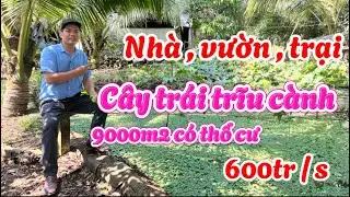 Nhà vườn đẹp mê. 9000m2 có cây trái , ao cá , chuồng trại. Có thổ cư xây dựng tự do.