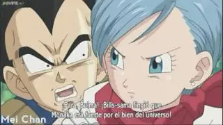 they don't know about us || Vegeta &