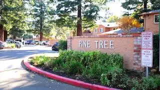 Video Tour of Pine Tree Apartments
