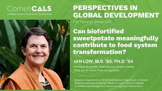 Jan Low - Can biofortified crops like orange-fleshed sweet potato contribute to food systems?