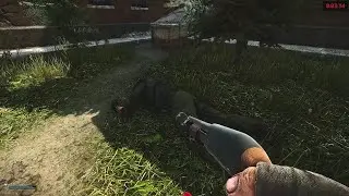 No Mercy