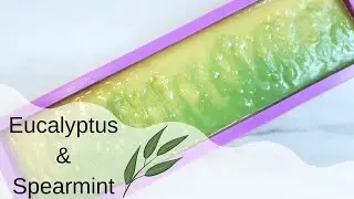 Eucalyptus Spearmint | 🌿 J & Mae Handmade