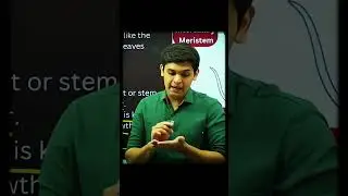 How To Cheat In Exams 🤔||Prashant Kirad #shorts #boardexam #ytshorts #class10 #nexttoppers