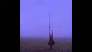Anise K-Walking on air