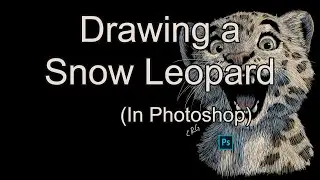 Timelapse: Drawing a Snow Leopard