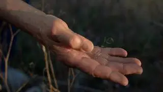 Learn How Volunteers Keep Idaho&rsquo;s Natural World Thriving