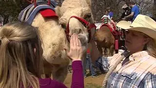 New Exhibits at the Oklahoma City Zoo