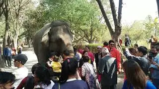 Zoo visit ko sathma hattiko darshan 2074