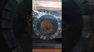 A magn&iacute;fica entrada da Abelha Marmelada