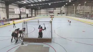 U16 JPIL Elite 2026 - December 27, 2025 - Match 16: Alley Cats v Philly Hockey Club
