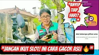 Akun Gojek Semakin Anyep? Ini Rahasia Supaya Gacor Tanpa Ikut Slot atau Goceng!