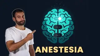 Anestesia para principiantes: qué te ponen y por qué