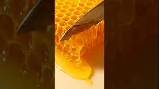 Cutting Honeycomb ASMR &ndash; Golden Honey Flow in Macro 🍯. #ASMR #Honey #ZenSlice