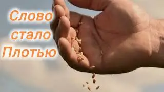 Проповедь - Торжество Рождения Христа - 25.12.2025