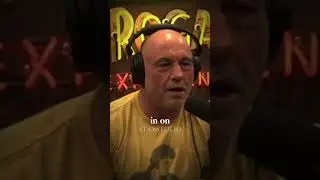 Post Election Chaos, Is Trump Breaking a Constitutional Right?? #joerogan #podcast #trump