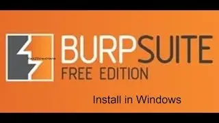 How to install Burp Suite in windows