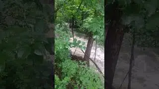 The brook behind the house