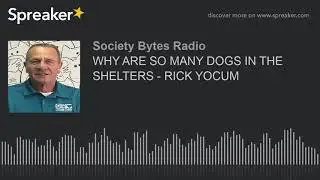 WHY ARE SO MANY DOGS IN THE SHELTERS - RICK YOCUM (part 2 of 2)