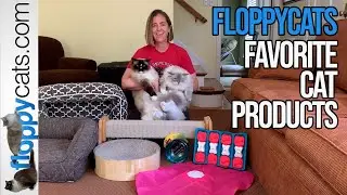 Любимые товары для кошек по версии Floppycats: лучшие товары для кошек 2023 года!