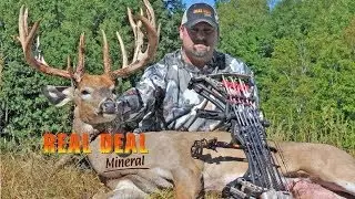 Deer Talk Now: Your Best Deer Hunting Questions Answered!