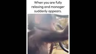 When you are fully relaxing and manager suddenly appears!
