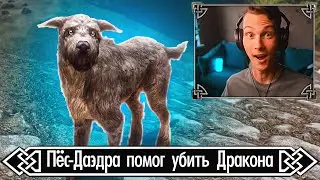 Вампиры, Фолкрит, два Каджита! Эпизод №5 Атмосферного прохождения Skyrim SLMP-GR 🐶