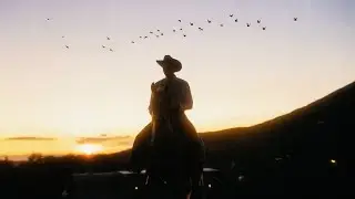Ruel - Wild Guess (Official Visualizer)