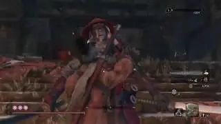 [Sekiro] Fastest Farming (Endgame, 300k Exp per Hour)