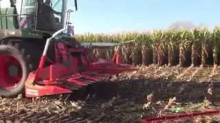 Mais 2014 - Demo Fendt Katana 65 | Harvesting maize | Loonbedrijf Ten Voorde