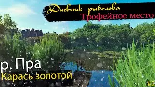 Fisher Online р. Пра   -  Карась золотой. Трофейное место. / The crucian carp on Pra river